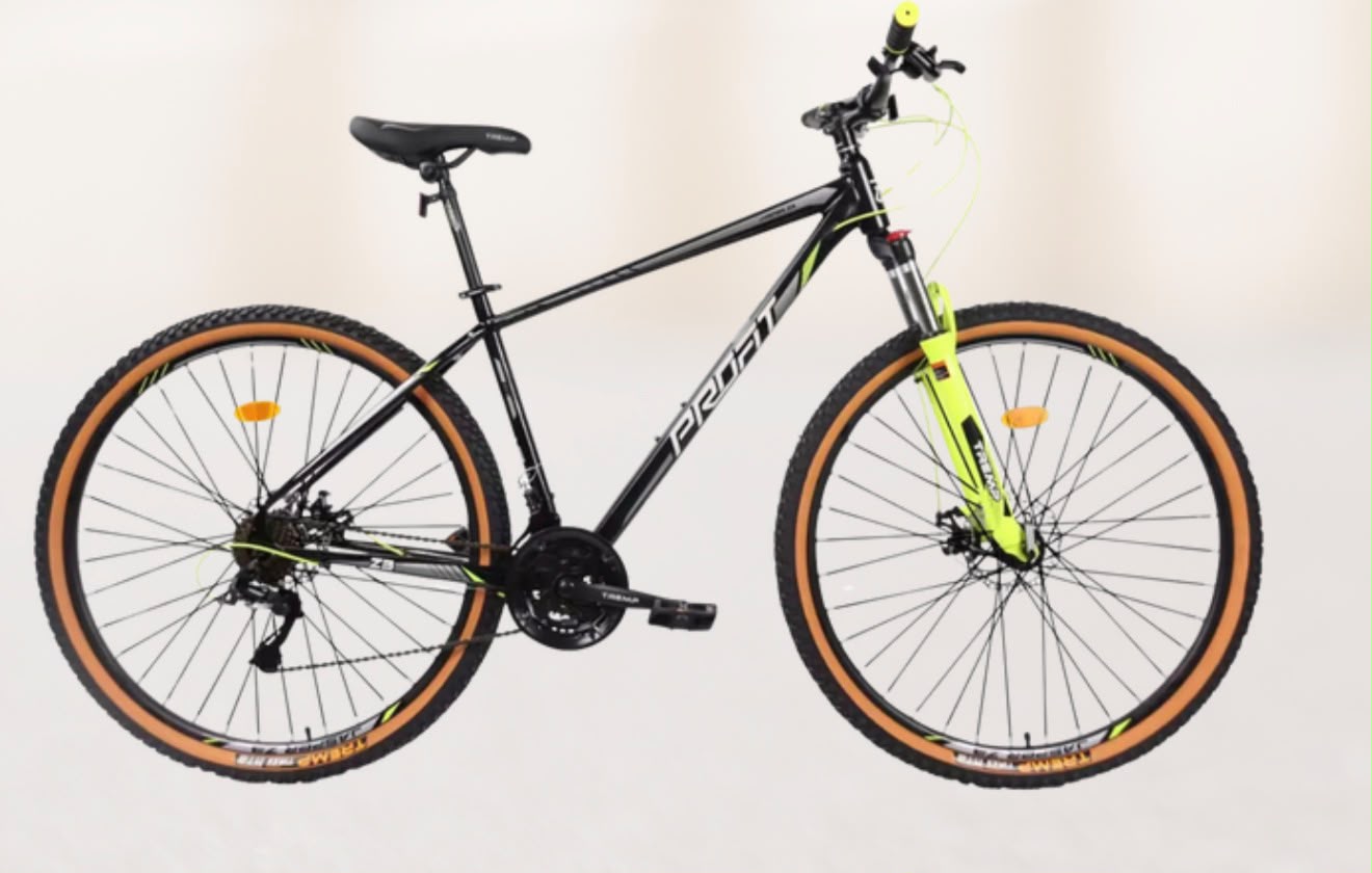 Bicicleta RIN29 TODO TERRENO
