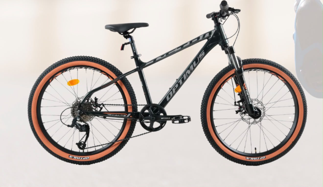 Bicicleta RIN24 TODO TERRENO