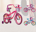 Bicicleta RIN16