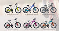 Bicicleta RIN20 TODO TERRENO