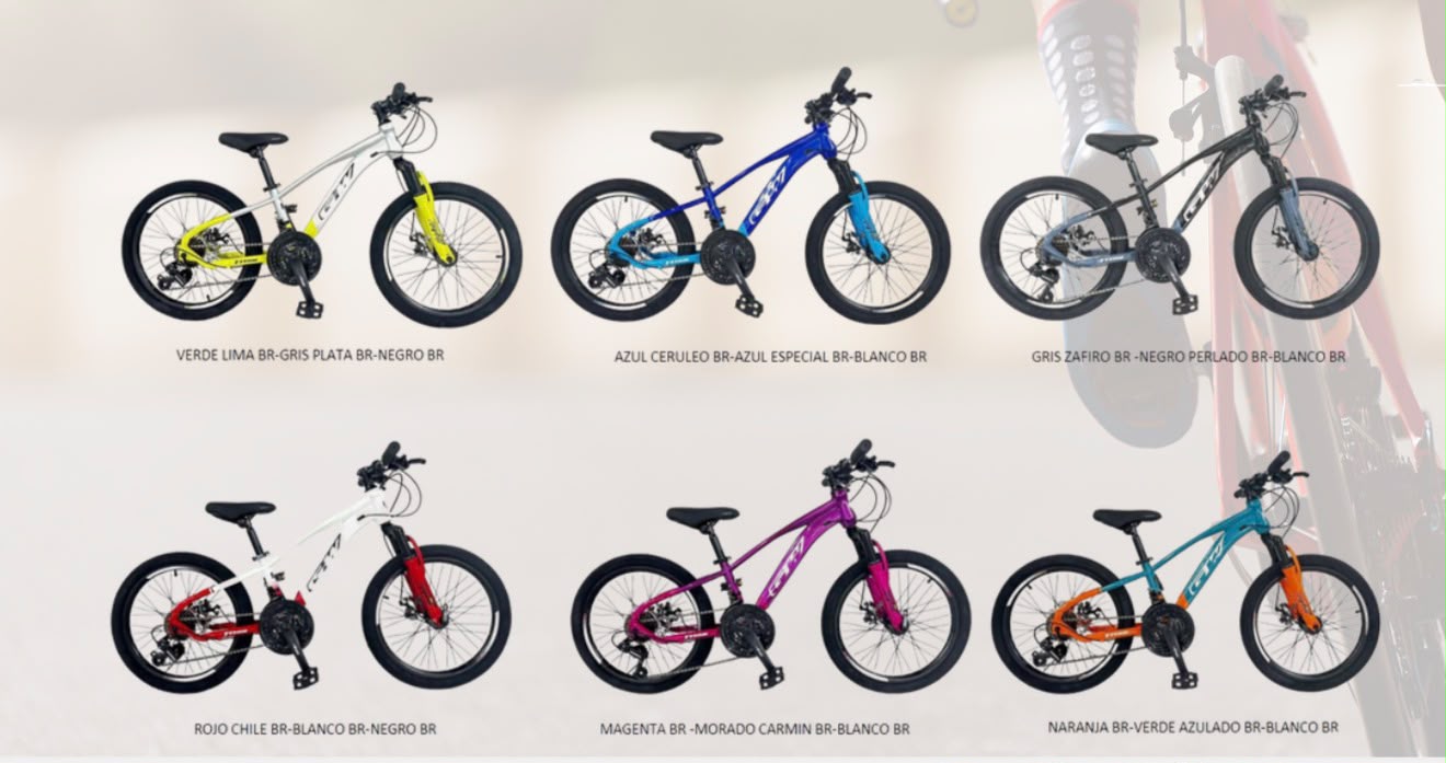 Bicicleta RIN20 TODO TERRENO